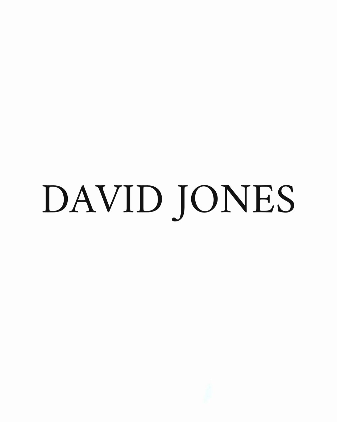 David Jones – madamforbag